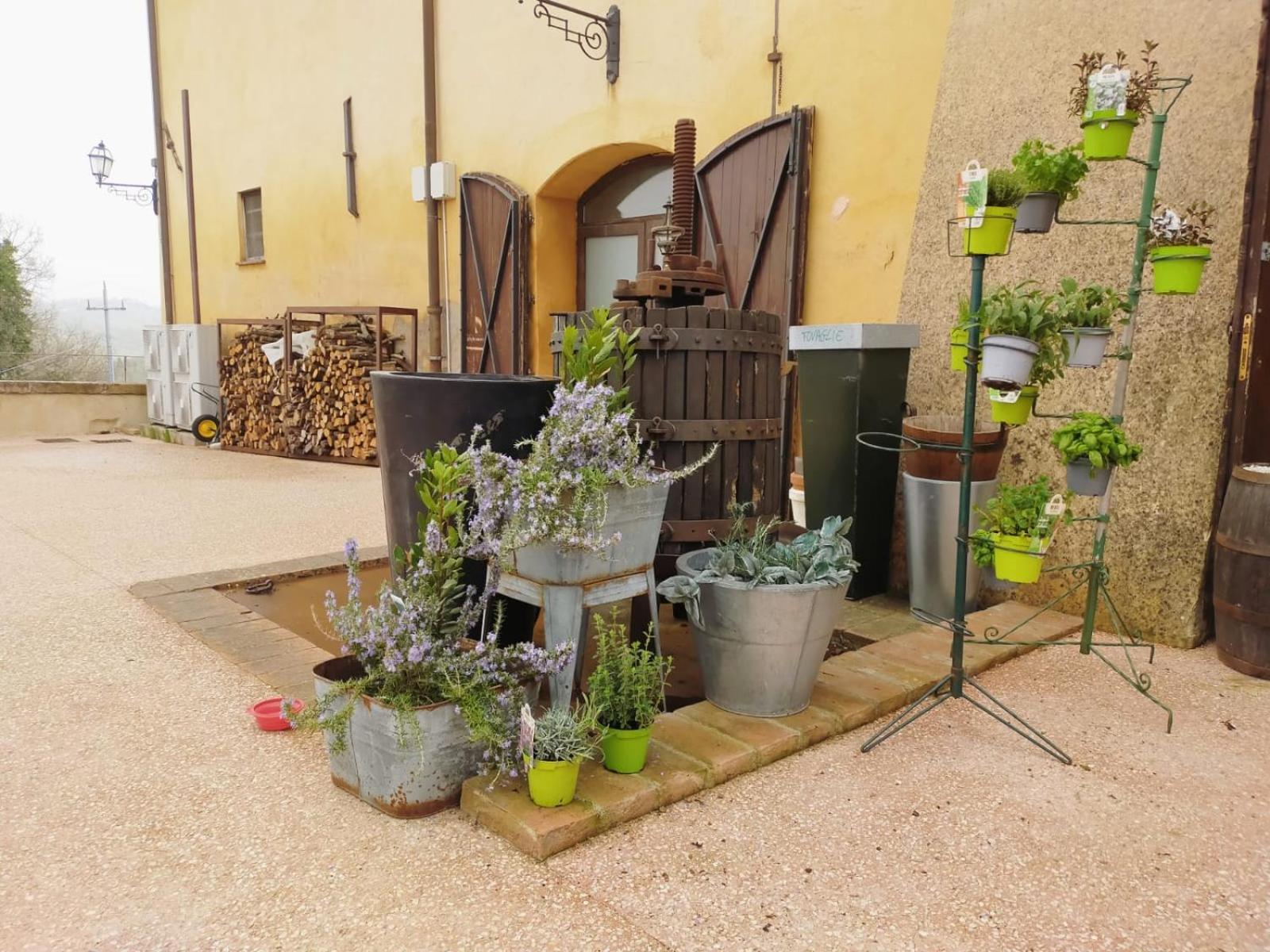 Vila Locanda Di Casigliano Casigliano  Exteriér fotografie